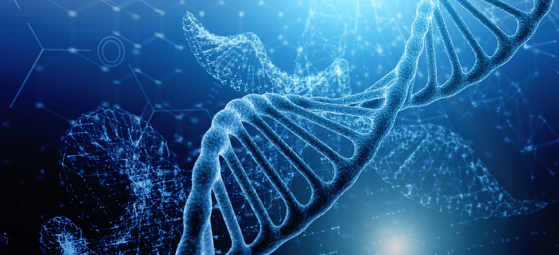 DNA SNP検査 病気のなりやすさを遺伝子レベルで確認